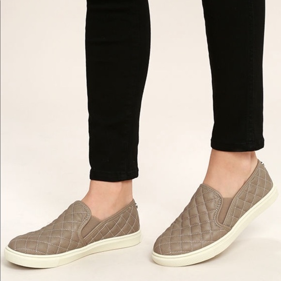 gray steve madden slip ons